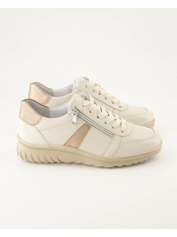 Semler Sneaker low in Beige