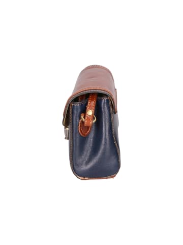 Gave Lux Crossbody in BLUE + BROWN