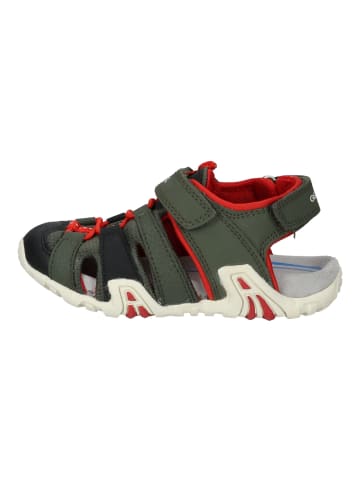 Geox Sandalen Dunkelgrün