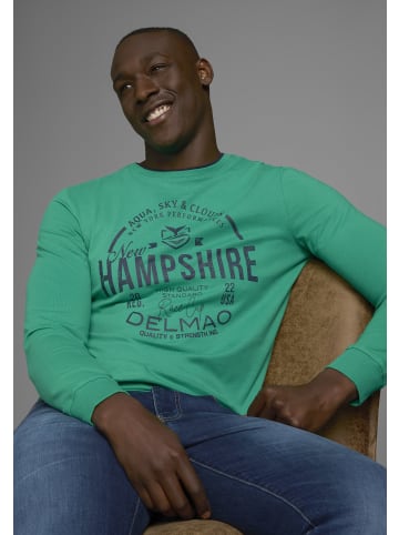 Delmao Langarmshirt in grün