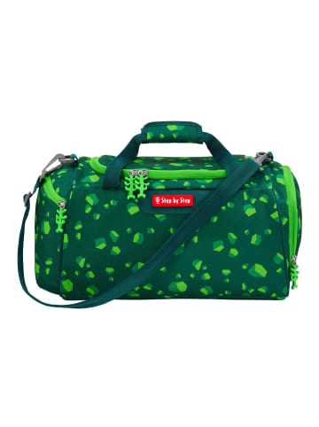 Step by Step Sporttasche 36 cm in Dino Targo
