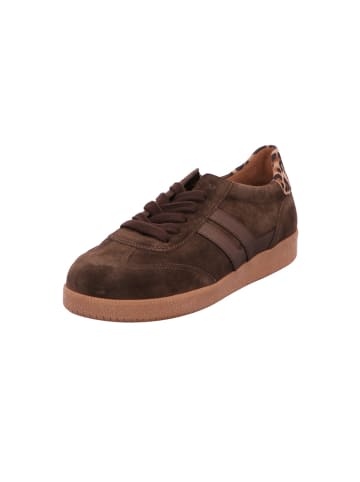 Gabor Sneaker Low in braun