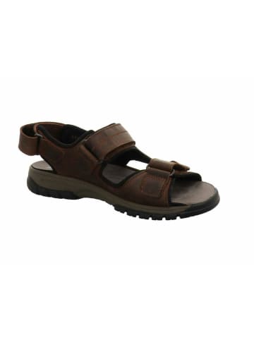 WALDLÄUFER Outdoorsandalen für Herren in braun