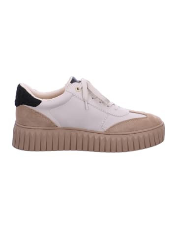 Marco Tozzi Sneaker  in Beige