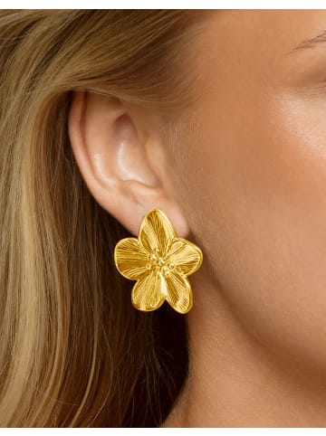 timi of sweden Ohrringe Maebry in Gold
