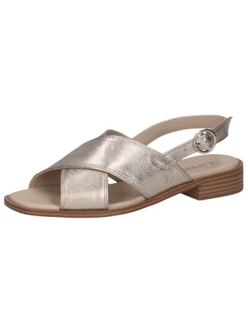 Caprice Sandalette in TAUPE METALLIC