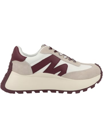 Steve Madden Sneaker low Supercampo in bordeaux