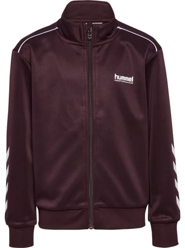 Hummel Kinder Trainingsanzug "Tracksuit" in Braun