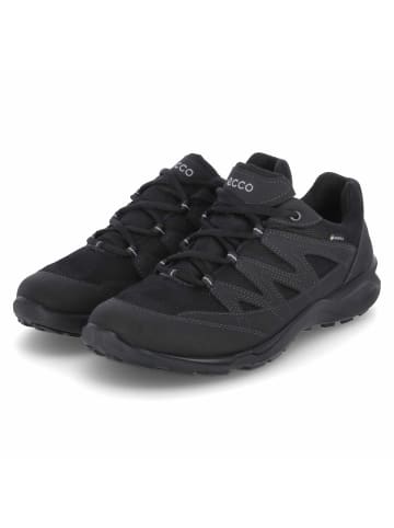 Ecco Outdoorschuhe TERRACRUISE LT M in Schwarz