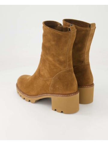 Paul Green Klassische Stiefeletten in Braun