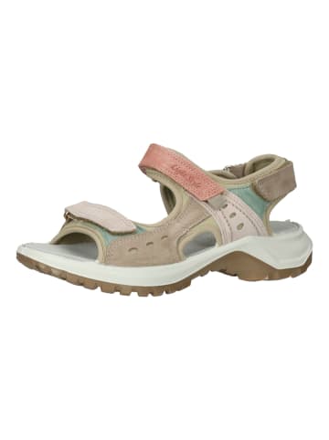 Imac Sandalen in Taupe