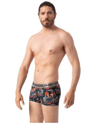 Muchachomalo 2er-Set: Boxershorts in Multicolor/Green