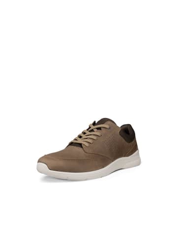 Ecco Sneaker in braun