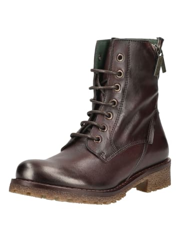 Felmini Stiefelette CASTER in Dunkelbraun