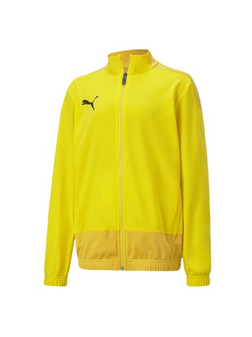 Puma Trainingsjacke TeamGOAL 23 in gelb / dunkelgelb