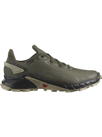 SALOMON Laufschuhe, Trailrunning-Schuhe SHOES ALPHACROSS 4 GTX in Oliv