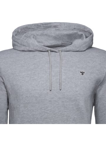 Hummel Kapuzenpullover IC Fred in grau