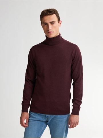 Petrol Industries Feinstrickrollkragenpullover Vail in Rot