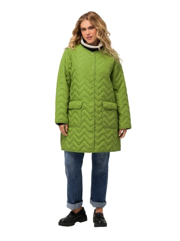 Ulla Popken Steppjacke in dill