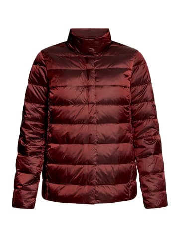 Betty Barclay Daunen-Steppjacke mit Stehkragen in dunkelrot