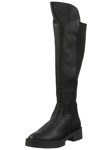 Steve Madden Stiefel in Schwarz