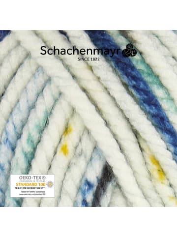 Schachenmayr since 1822 Handstrickgarne Bravo Big Color, 200g in Sporty