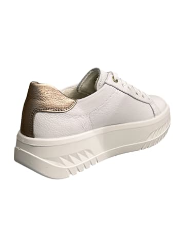 ara Plateau Sneaker in Weiß