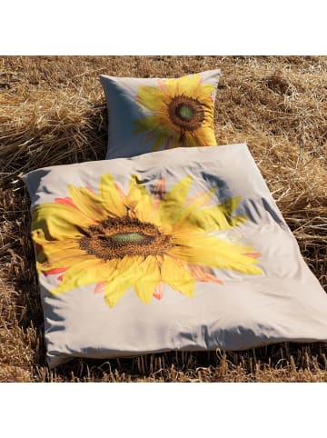 Janine Bettwäsche 42162-03 in gelb sand