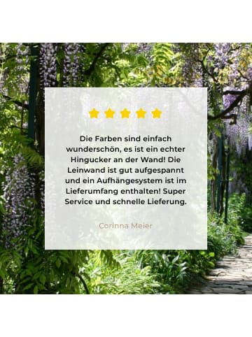 MuchoWow Leinwand bilder Blauregen (BxH)