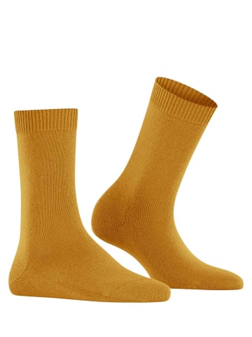 Falke Socken 1er Pack in Gelb (Amber)