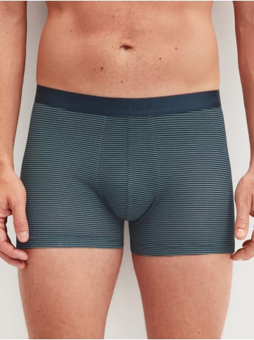 Calida New Boxer in dark glen