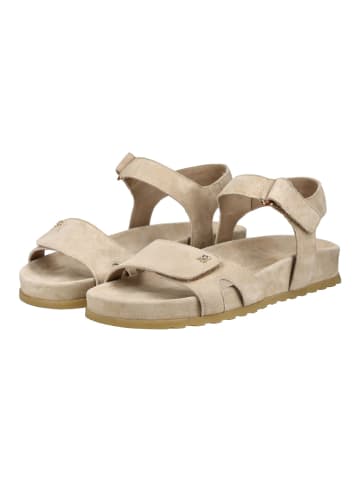 Paul Green Sandalen in Creme