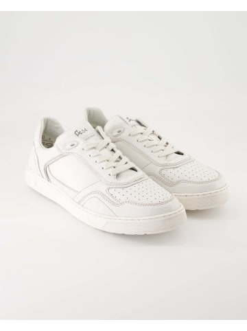 Sioux Sneaker low in Weiß