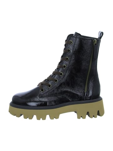 Paul Green Boots in Braun