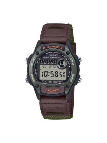 Casio Resin
