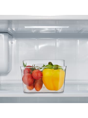 relaxdays 2 x Kühlschrank Organizer in Transparent - (B)25 x (H)10,5 x (T)18 cm