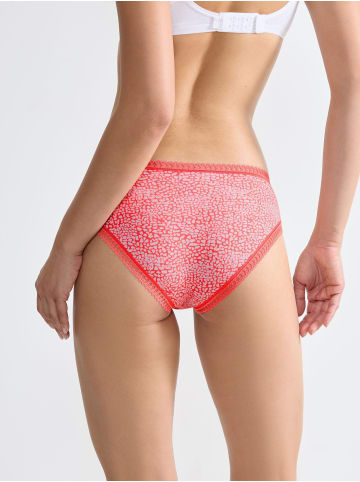 Sloggi Retro Boxer Blue GO Crush 3er-Pack in MULTIPLE COLOURS 15