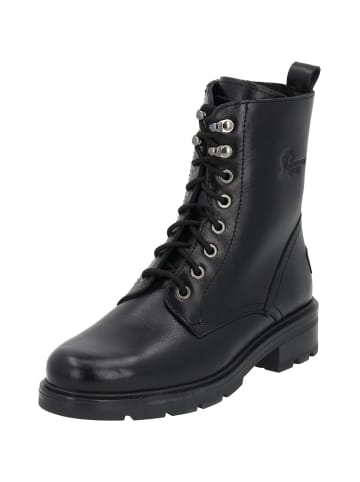 PANAMA JACK Stiefeletten in Negro/Black