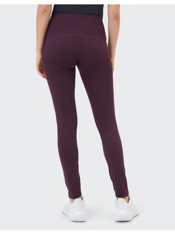Venice Beach Tights VB Noma in dark grape