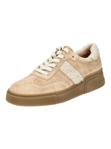 Paul Green Sneaker Beige/Braun