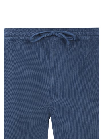 Protest " PRTUleyo in Raku Blue