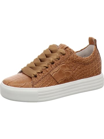 Kennel & Schmenger Sneaker in braun
