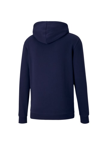 Puma Sweatshirt teamGOAL 23 Casuals Hoody in blau