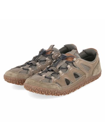 Camel Active Schnürhalbschuh in khaki