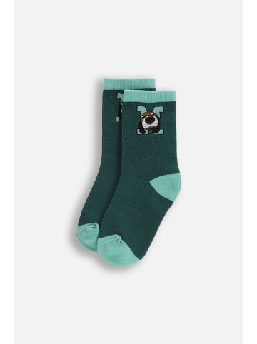 Coccodrillo Socken in grün