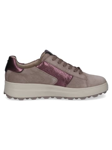 Caprice Sneaker Sneaker in taupe