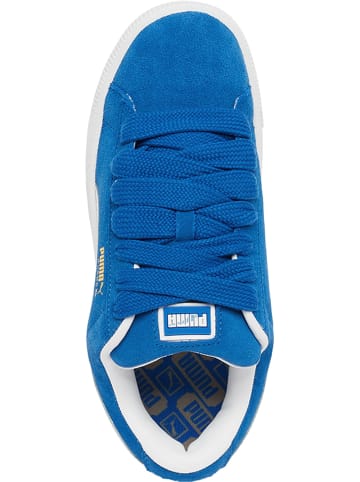 Puma Puma Turnschuhe in puma team royal/puma white