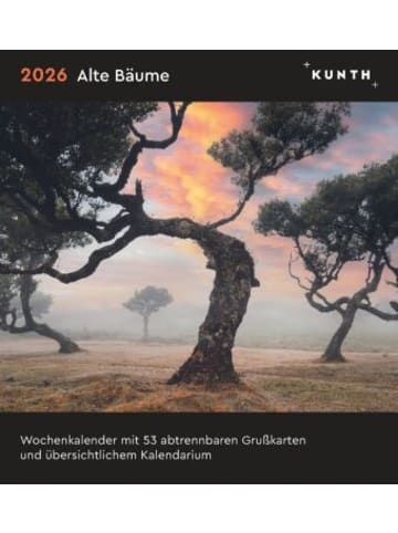 Kunth Kalender - Alte Bäume - KUNTH Postkartenkalender 2026
