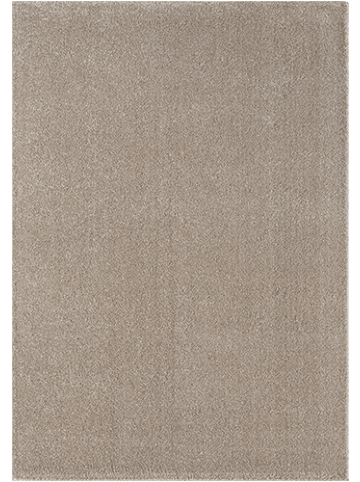 the carpet Kurzflorteppich Grande in Beige