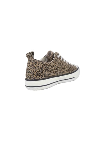 Fitters Sneaker in Braun